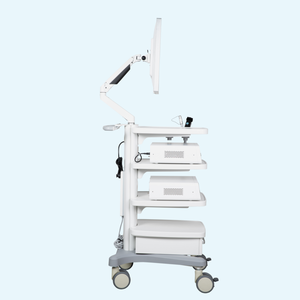 Sistema de Imágenes Endoscópicas Veterinarias HD de <span class=keywords><strong>24</strong></span> Pulgadas para Diagnóstico Animal, Precio de Fábrica para Hospitales Veterinarios - Product Image 3