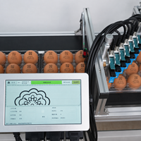 Impresora de Inyección de Tinta Térmica de Alta Velocidad T690-6, Máquina de Codificación de Fechas DOCOD, Resolución de 300DPI para Empaquetado de Huevos y Alimentos
