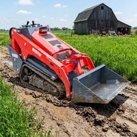 Mini-chargeuse compacte sur pneus avec accessoires hydrauliques pour l'agriculture et l'aménagement paysager