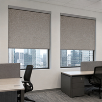 Persianas Venecianas Motorizadas Personalizadas Ilvia, Persianas Inteligentes de Aluminio, Cortinas y Contraventanas, Persianas Enrollables Inteligentes