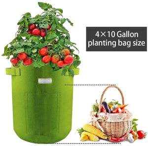 4 Gói Túi Trồng Cây, Túi Trồng Khoai Tây Trong Vườn Túi Trồng Chậu Cây Có Cửa Sổ Và Tay Cầm Cho Rau - Product Image 2