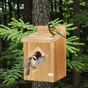 Maison <span class=keywords><strong>d</strong></span>'oiseau bleu en bois nichoir en bois abri pour oiseaux de jardin sanctuaire <span class=keywords><strong>d</strong></span>'oiseaux en bois idéal pour les hirondelles et les pinsons - Product Image 5