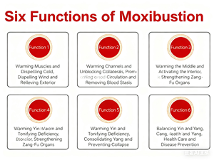 Shuhe Health 6.0 Barra de Moxibustión Cálida, Extracto Herbal de Hojas de Artemisa, 99% Puro, Grado Alimenticio, GuiZhou, China - Product Image 4