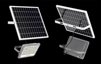Lampe LED d'extérieur de bonne qualité 100 watts Réflecteur RVB Projecteur solaire Option différente