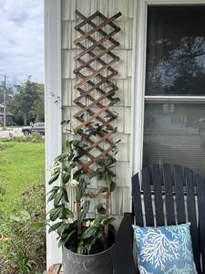 Panneaux <span class=keywords><strong>de</strong></span> clôture décoratifs extérieurs <span class=keywords><strong>en</strong></span> <span class=keywords><strong>bois</strong></span> extensibles pour plantes, <span class=keywords><strong>balcon</strong></span>, bordure <span class=keywords><strong>de</strong></span> paysage <span class=keywords><strong>de</strong></span> cour, diviseur <span class=keywords><strong>de</strong></span> patio, barrière pour animaux - Product Image 3