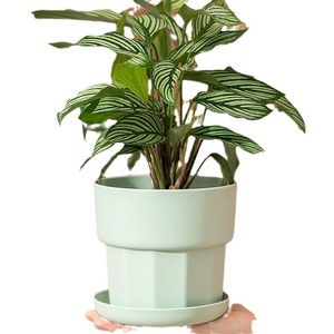 Arisu <b>Flower</b> <b>Pot</b> Minimalist Indoor Planters Injection Molding Home Decor Green Plant Container - Product Image 3
