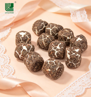 Malvaviscos Liofilizados al Por Mayor, Personalizados, con Recubrimiento de Chocolate, Barra Sólida, Dulce Divertido, 12 Meses de Duración, Personalizable