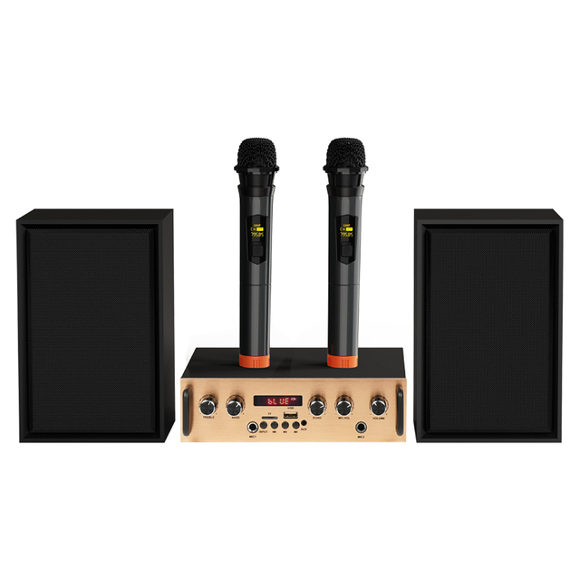 Audmic Factory OEM Multimedia Karaoke Audio Bluetooth Power Amplifier Speaker