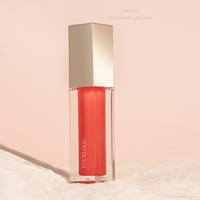 Emballage de tubes de gloss à lèvres personnalisés en marque privée, contenants, gloss à lèvres vegan mat, brillant, nude, huile à lèvres transparente