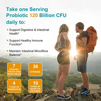 OEM 120 milliards d'UFC Probiotiques en gélules molles 36 souches Prébiotiques Enzymes digestives Complément alimentaire pour un soutien ultime de la santé intestinale