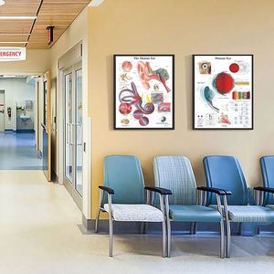 Affiche d'art moderne d'anatomie humaine, système de Muscles, carte corporelle imprimée, toile, peinture, photos murales pour Science médecine, décor de chambre à coucher - Product Image 6