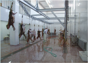 Prix d'usine Ligne d'<span class=keywords><strong>abattage</strong></span> halal boeuf chèvre bovin machine d'<span class=keywords><strong>abattage</strong></span> d'ovins équipement d'<span class=keywords><strong>abattage</strong></span> de bovins - Product Image 4