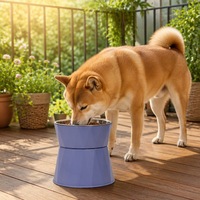 Bol pour chat en acier inoxydable en gros, ergonomique, surélevé, anti-vomissement, pour chaton