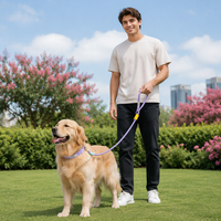 Laisse pour chien anti-traction brusque de type P, laisse d'entraînement en nylon, chaîne réglable pour chiens de petite et moyenne taille, promenade en extérieur