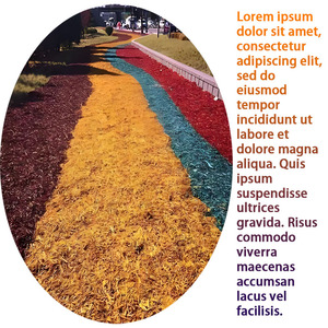 Couverture <span class=keywords><strong>de</strong></span> jardin d'embellissement professionnelle <span class=keywords><strong>de</strong></span> finition naturelle moderne écologique en <span class=keywords><strong>bois</strong></span> coloré pour les trous d'arbre <span class=keywords><strong>de</strong></span> parterres <span class=keywords><strong>de</strong></span> fleurs et le parc - Product Image 2