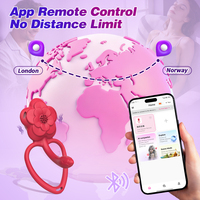 Tragbarer Vibrator mit Fernbedienung & App, Sexspielzeug mit Doppelmotor, Vibrierende Unterwäsche, Klitoris-Stimulator und G-Punkt-Vibrator