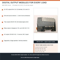 Modules de sortie numériques B&R série X20DO avec sorties Triac et relais 24 VDC pour systèmes de contrôle X20 – Vente en gros