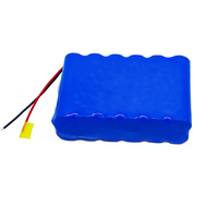 Li-ion Battery 18650 2p6s 5000mAh 22.2V Battery Pack for Consumer Electronics & Power Tools
