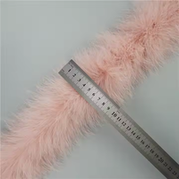Boas en plumes de marabout de 2 mètres de long 10g 20g 30g 40g Boas en plumes de dinde douce et moelleuse pour le bricolage Costume dansant Halloween