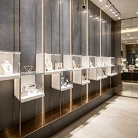 GZowin Gewölbter Metall-Schmuckvitrine mit LED-Beleuchtung Umweltfreundlich Anpassbare Farben für Juweliergeschäfte & Museen