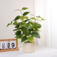 Fleurs artificielles en plastique pour l'intérieur et l'extérieur, pour le salon, le bureau, la chambre à coucher, décoration esthétique, plantes artificielles, fleurs