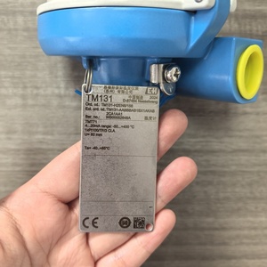 Thermomètre industriel modulaire numérique Endress+Hauser ITHERM ModuLine TM131, résistance flexible - Product Image 6