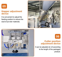 Industrial Automatic Powder Packing Machine Sugar Salt Chili Pepper Spice Dried Milk 20g Sachet Vertical Form Seal