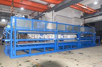 Machine à glace en blocs SINDEICE industrielle de 30 tonnes par jour, grande machine à glace en blocs solides avec compresseur pour usine de glace au Moyen-Orient