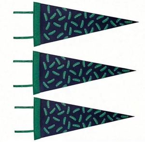 Banderas Triangulares de Fieltro Universitarias con Impresión Digital Personalizable Profesional, Portátiles, Impermeables y Ecológicas - Product Image 3