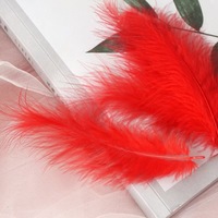 Plumes de coq colorées de haute qualité en gros, 3-5 pouces, mélange de couleurs, plumes de coq à vendre