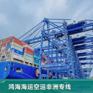 Logística de Hon Hai en África, Transporte Marítimo y Aéreo Puerta a Puerta con Despacho de Aduanas e Impuestos Incluidos, Carga a África - Product Image 4