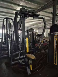 Machine de Fitness <span class=keywords><strong>Cybex</strong></span> et Triceps, appareil de haute qualité, de marque, pour entraînement physique et gymnastique - Product Image 4