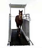 Tapis roulant pour chevaux équins à grande vitesse certifié CE tapis roulant sous l'eau