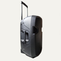 Système de sonorisation professionnel 250W avec haut-parleur de graves 15 pouces, entrée CA 220-240V, amplificateur actif, enceinte en plastique pour extérieur