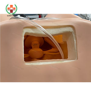 SY-N003 de entrenamiento ginecológico, modelo anatomico médico, precio - Product Image 6