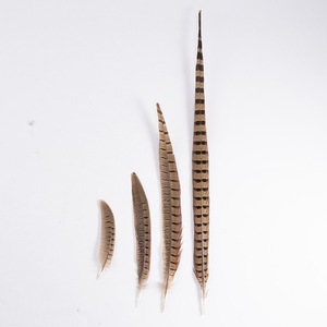 Bán Buôn Chất Lượng Cao 45-60Cm Tự Nhiên Ringneck Gà lôi Đuôi Lông Cho Fly Buộc Lễ Hội Trang Phục Mũ Ba Lô - Product Image 2