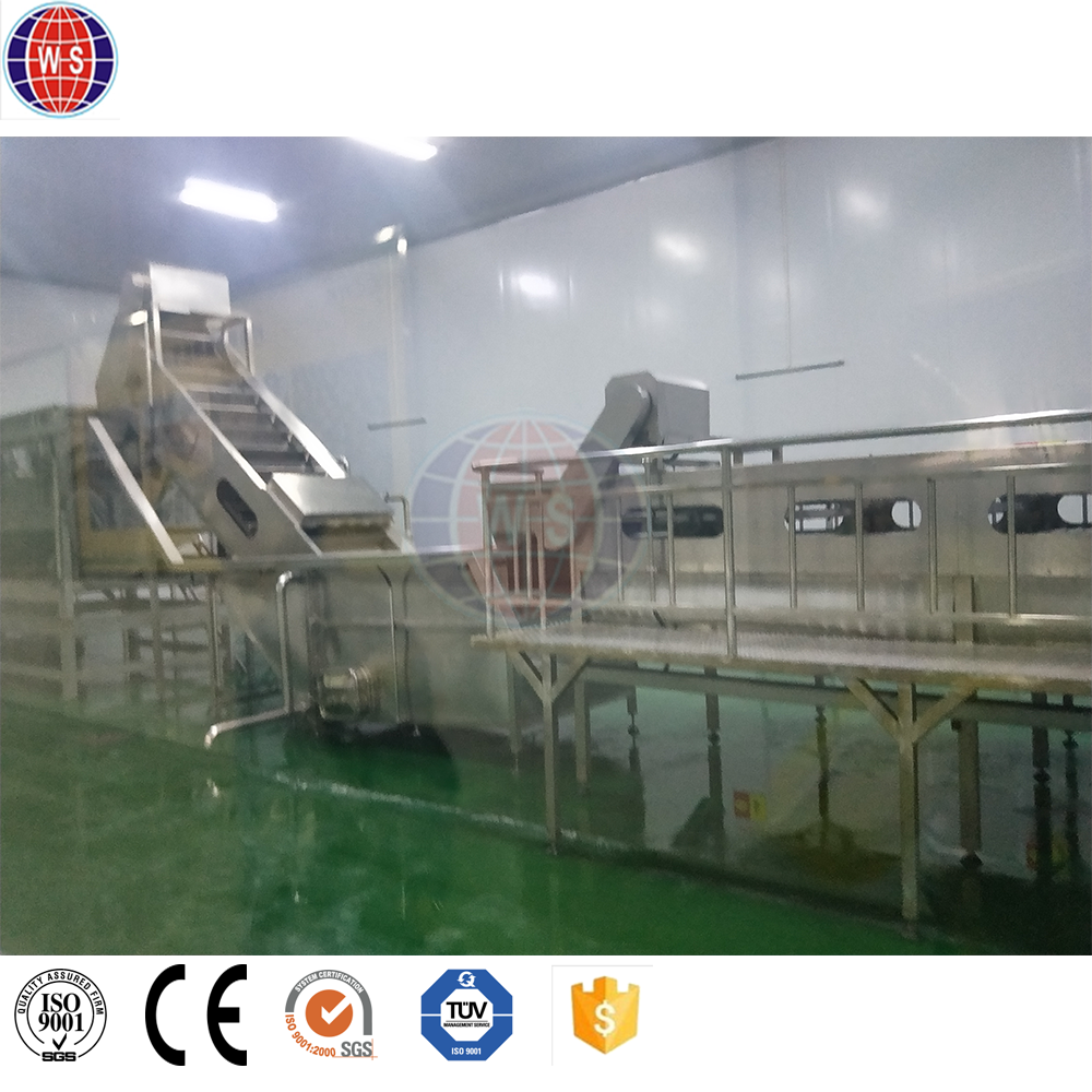 Новая технология WS, миниатюрная линия по производству фруктового сока из Шанхая