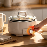 Casserole électrique en acier inoxydable pour la maison, 4 L, avec pot amovible