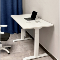 Bureau debout moderne en acier, convertible, extensible, automatique, à double moteur, pour villa, vente en gros directe usine