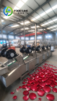 Machine multifonctionnelle tout-en-un pour la déshydratation et le séchage à l'air des fruits et légumes, équipement de déshydratation industriel