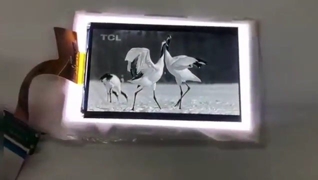 6 inch 2k 1620*2560 monochrome lcd screen without backlight for sla resin 3d printer