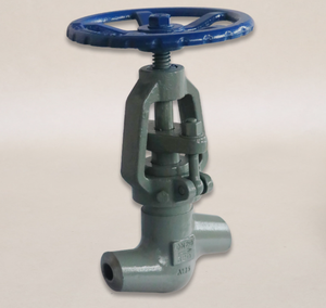 Válvula de Globo de Acero Forjado a Vapor Soldada por Soldadura a Tope de 3/4 para Descarga de Alta Presión para Central Eléctrica - Product Image 4