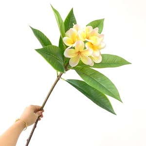 Nouvelles fleurs artificielles de Plumeria Rubra, Frangipani, <span class=keywords><strong>Frangipane</strong></span> pour mariage, événement, décoration tropicale, hôtel - Product Image 5