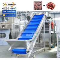 Automatische Dadels Palmdata Productielijn Data Sorteermachine Op Grootte