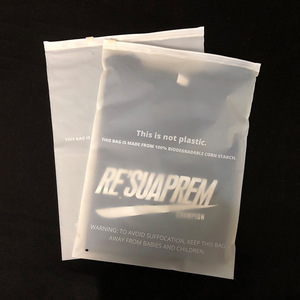 Nắp Kéo Con Dấu Tùy Chỉnh In T Áo Sơ Mi Opp Đóng Gói <span class=keywords><strong>Ziplock</strong></span> Bao Bì Nhự<span class=keywords><strong>a</strong></span> Dây Kéo Túi Quần Áo Đồ Lót Túi - Product Image 4