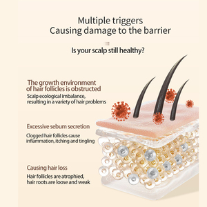 Thảo Dược Hóa Chất Tăng Trưởng Tóc Dầu Gội Tinh Chất 2 Trong 1 Da Đầu Làm Mới Chống Gàu Công Thức Mịn Nuôi Dưỡng Kết Cấu Giữ Ẩm - Product Image 6