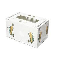 Boîtes d'emballage pour fruits, boîtes en plastique ondulé, boîtes en plastique pour fruits, boîtes d'emballage pour légumes, boîtes en plastique pour légumes