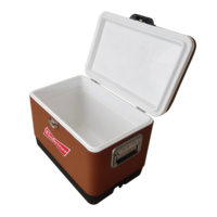 Nuovo Secchio Termico in Metallo da 30L/40L/50L con Cuscino Integrato - Mantiene il Freddo - Ideale per il Campeggio e l'Uso Esterno