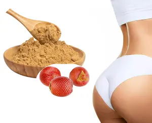 Bột Trái Cây Aguaje Nguyên Chất 100%/Bột Aguaje Sấy Khô - Product Image 1