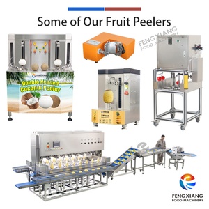 เครื่องปอกผลไม้ไฟฟ้าขนาดเล็กสำหรับปอกกีวี บีทรูท แอปเปิ้ล ส้ม - Product Image 6